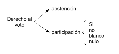 Opciones a la hora de votar